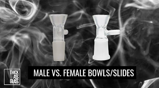 Male_vs._Female_Bowls_and_Slides
